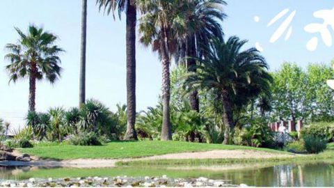 Les dossiers pour participer au concours de création de « Jardins d’artistes » sont à déposer avant fin juillet 2020. ©Département06